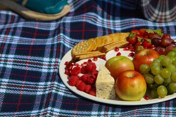 BBQ/picnic area