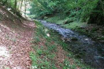 Photo 24