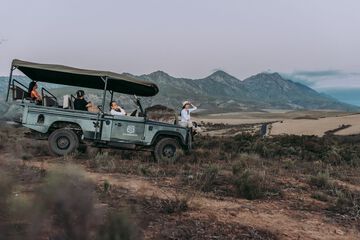 Safari