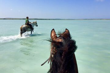 Horseback riding
