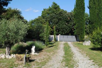 Photo 35