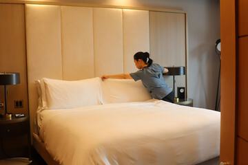 Cleanliness standards