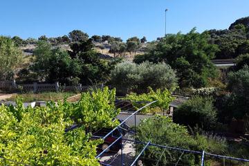 Photo 43