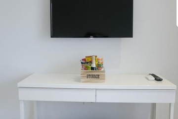Television