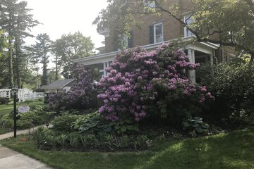 Property Grounds 21 of 21