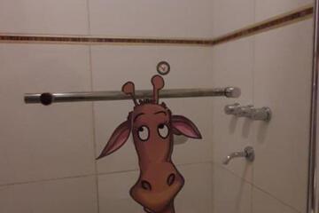 Photo 52