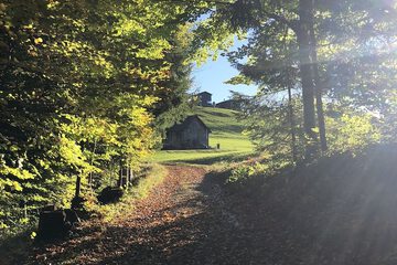 Hiking