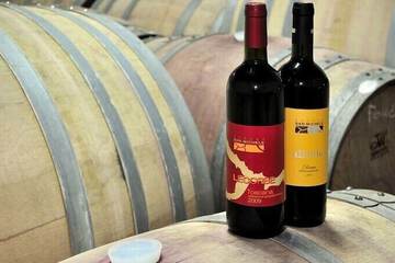 Tasting room
