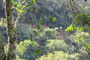 Ecotours