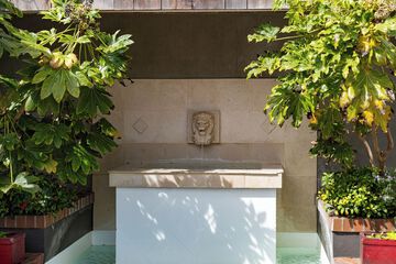 Fountain