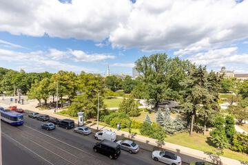 Park view