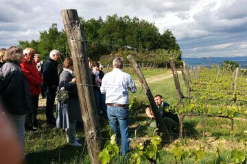 Winery