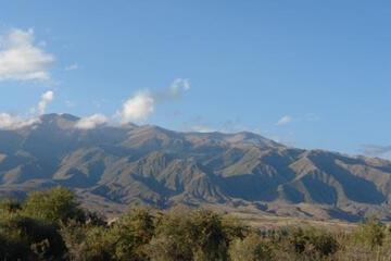 Photo 30