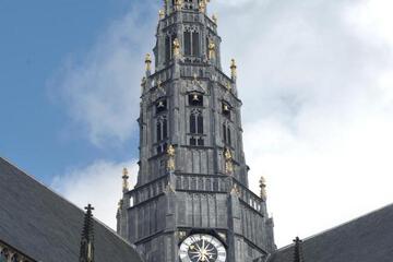 Photo 24