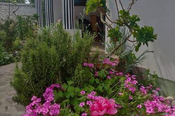 Photo 33