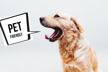 Pet-friendly