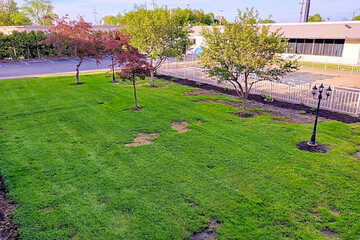 Photo 22