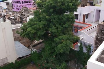 Photo 42