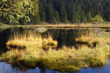 Photo 43