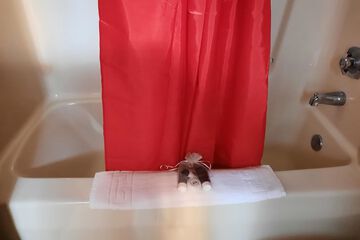 Deep soaking bathtub