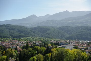 View from room