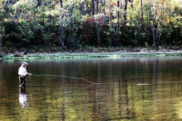 Fishing