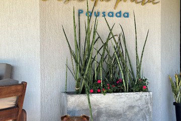 Pet-friendly