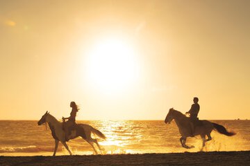 Horseback riding
