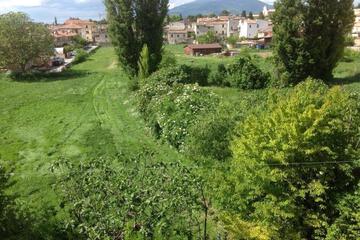 Photo 51