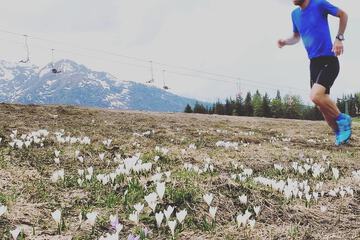 Hiking