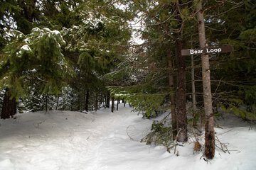 Snowshoeing