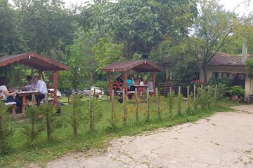 Photo 18
