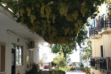 Photo 49