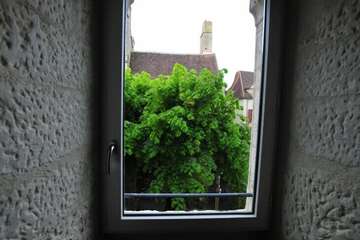 View from room