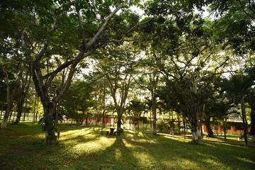 Photo 46