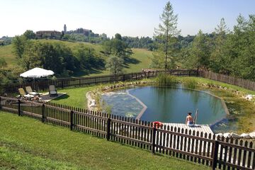 Natural pool