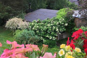 Photo 22