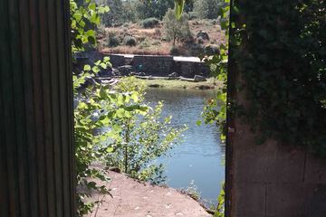 Natural pool