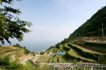 Surrounding environment