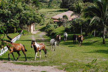 Land view from property