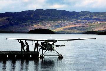 Helicopter/plane tours