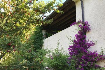 Photo 60