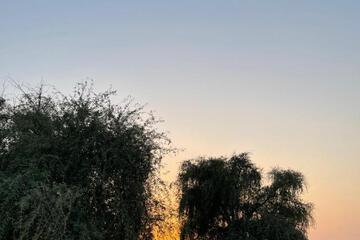 Photo 51