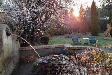 Photo 35
