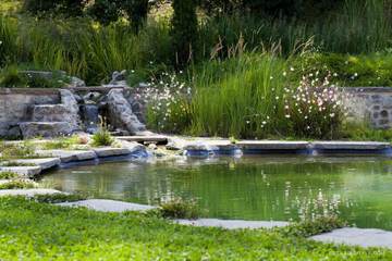 Natural pool