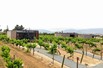 Winery