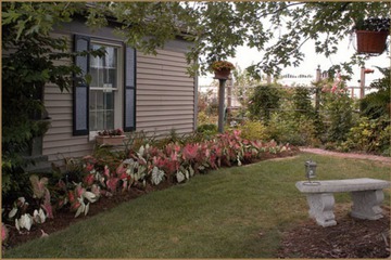 Property Grounds 53 of 62