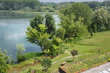 Lake view