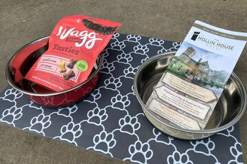 Pet-friendly amenities