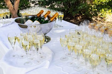 Outdoor wedding area